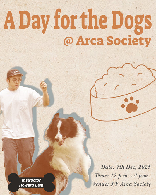 A Day for the Dogs