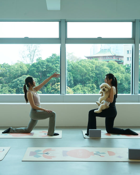 [Early Bird Offer] Downward Dog Together